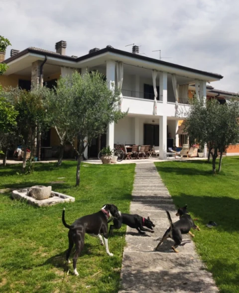 Sara Holiday Rentals,appartamenti vacanza,appartamenti vacanza sul Lago di Garda,piscina,pet friendly,parchegio,parcheggio coperto,camere familiari,terrazza